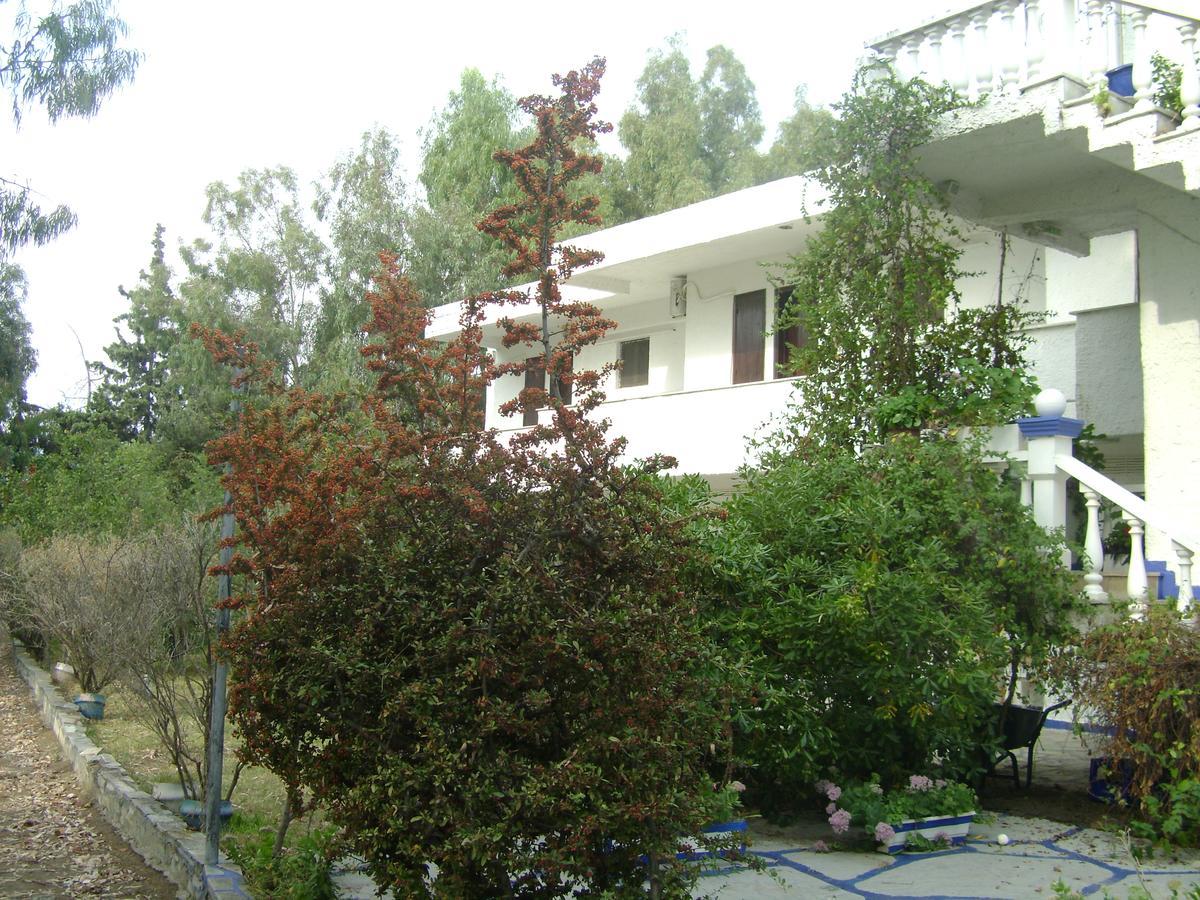 Villa Zoi Thronion Zewnętrze zdjęcie
