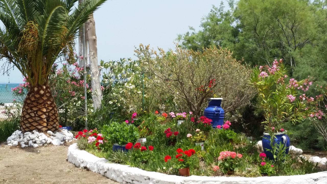 Villa Zoi Thronion Zewnętrze zdjęcie